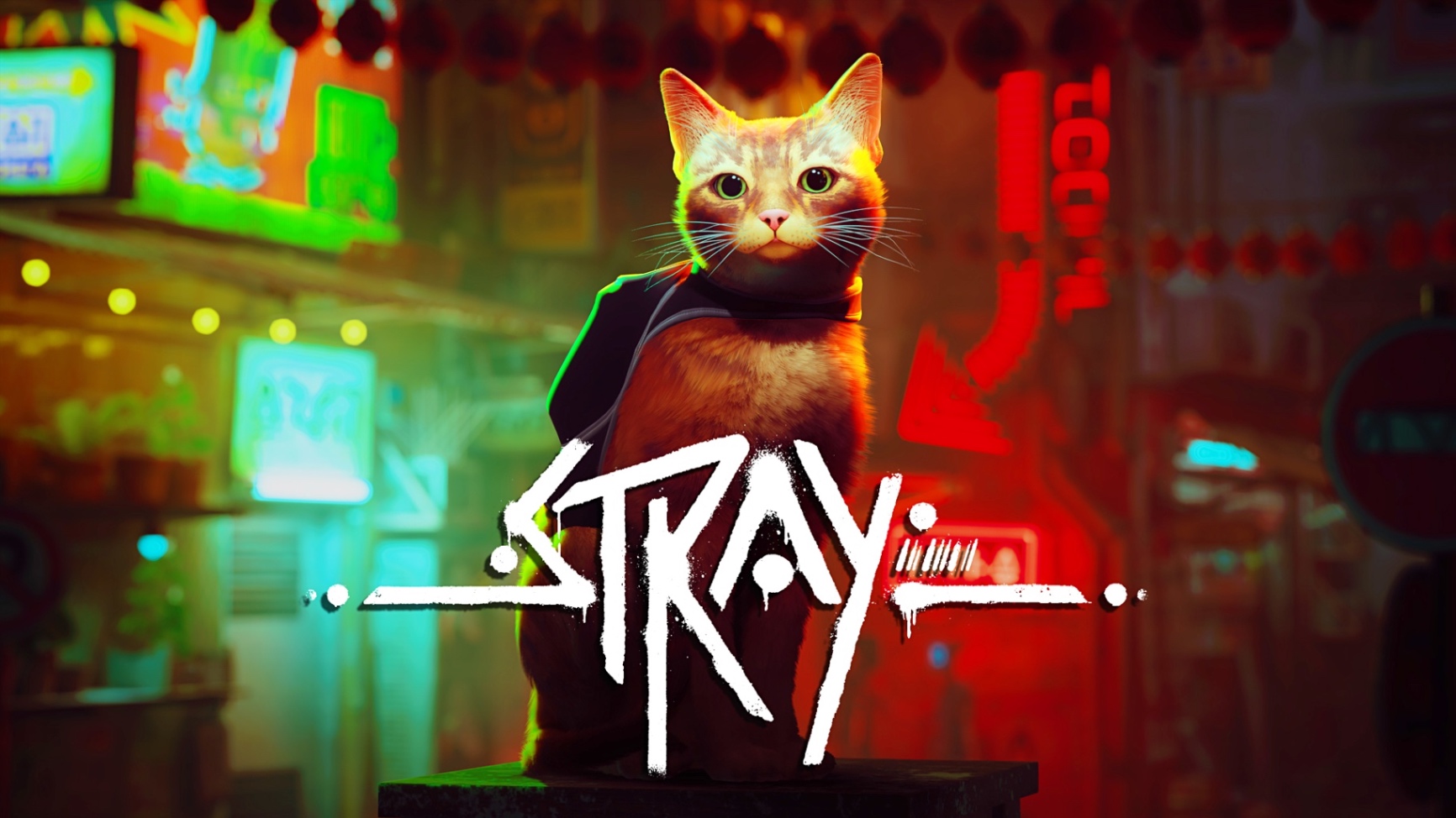 Stray