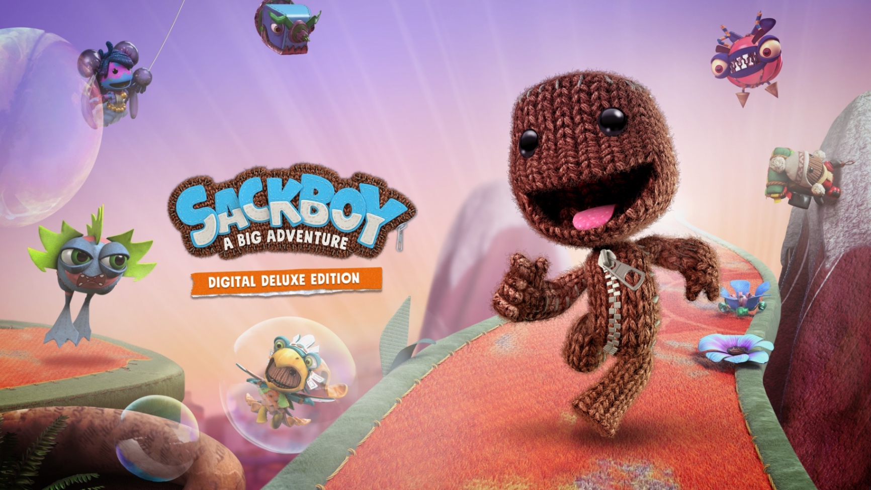 Sackboy